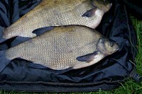 Riverfest Fishing Final Burton Joyce 2020 - 63