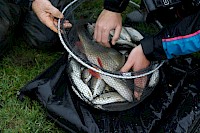 Riverfest Fishing Final Burton Joyce 2020 - 152